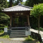 都幾山 慈光寺の菁莪（しゃが）DSCF5240