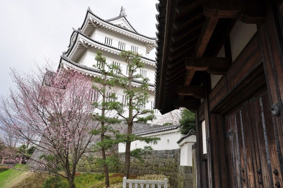 埼玉県行田市　忍城　三階櫓と東門と桜DSC_0411