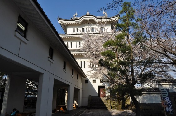 埼玉県行田市　忍城　三階櫓と桜DSC_0470