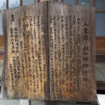 都幾山 慈光寺の菁莪（しゃが）DSCF5278