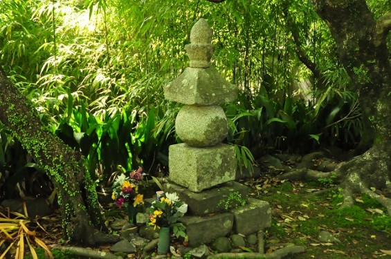 長宗我部信親（元親の長子）のお墓参りに雪蹊寺にDSC_0500