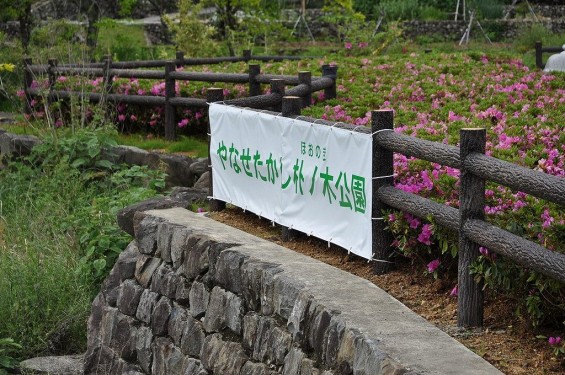 20140430 やなせたかし 墓 朴の木公園20140430 やなせたかし 墓 朴の木公園DSC_0161