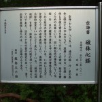 都幾山 慈光寺の菁莪（しゃが）DSCF5251