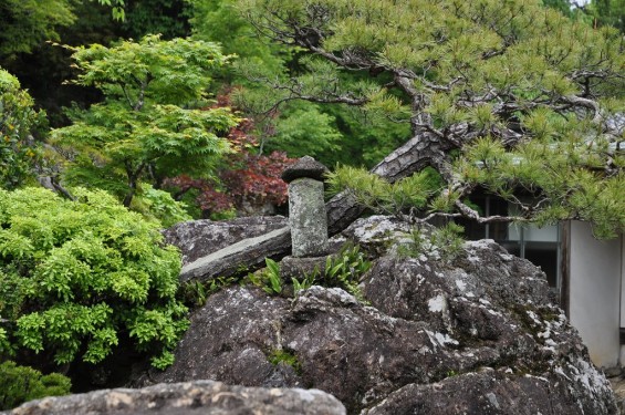 五台山 竹林寺名勝庭園 夢窓疎石国師の作庭 DSC_0246