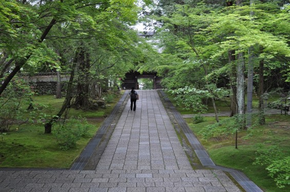 五台山 竹林寺DSC_0240