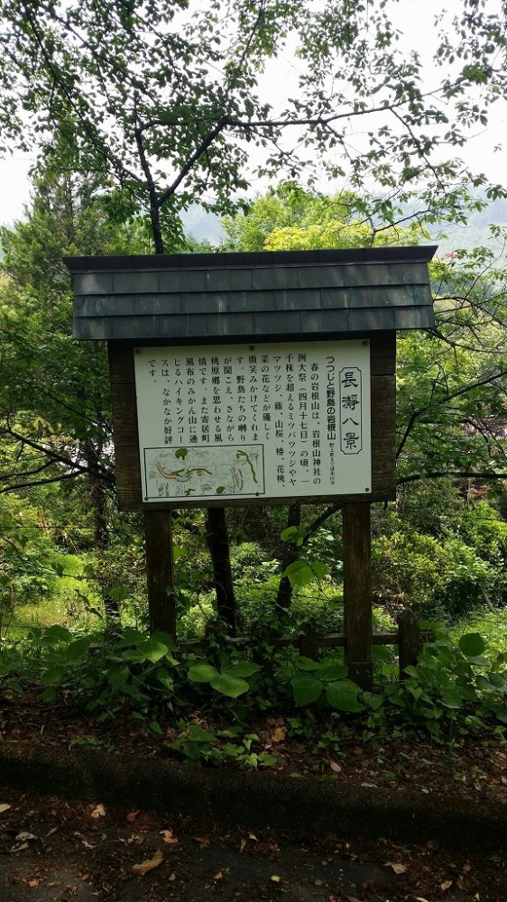 1402799187017 6月3日にトレッキングに行って来ました！～長瀞の岩根山 長瀞八景 つつじと野鳥の岩根山