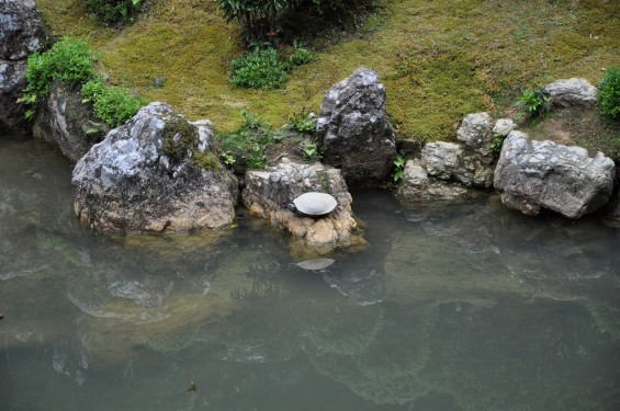 五台山 竹林寺名勝庭園 夢窓疎石国師の作庭 DSC_0260