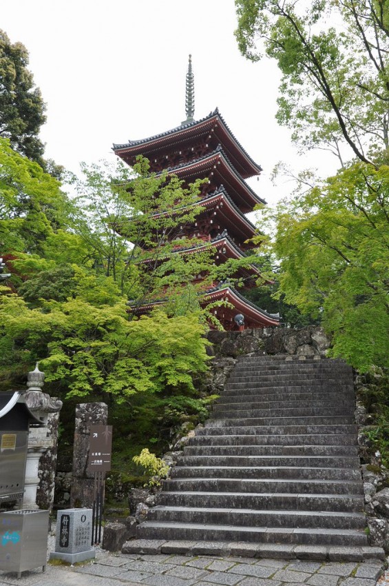 五台山 竹林寺 竹林寺 五重塔DSC_0222