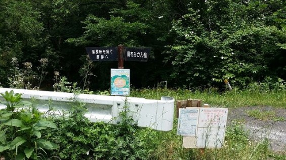 1402799234509 6月3日にトレッキングに行って来ました！～長瀞の岩根山 風布みかん山
