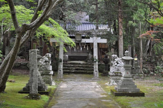 五台山 竹林寺DSC_0216