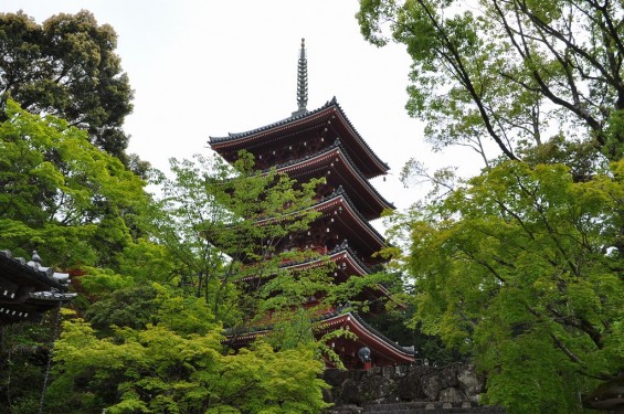 五台山 竹林寺 五重塔DSC_0221