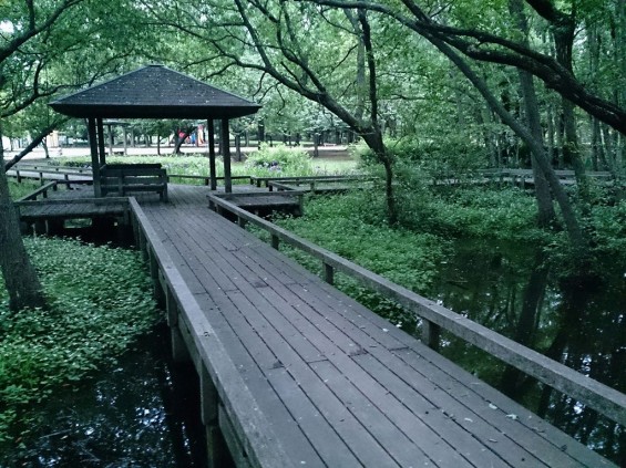 伊奈町町制記念公園 池とウッドデッキ1402395738126