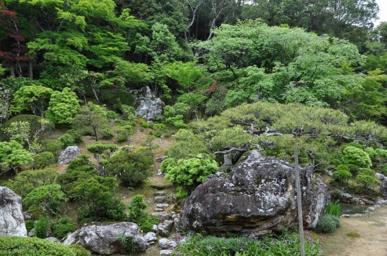 五台山 竹林寺名勝庭園 夢窓疎石国師の作庭 DSC_0241