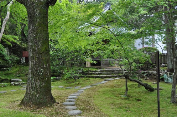 五台山 竹林寺DSC_0203