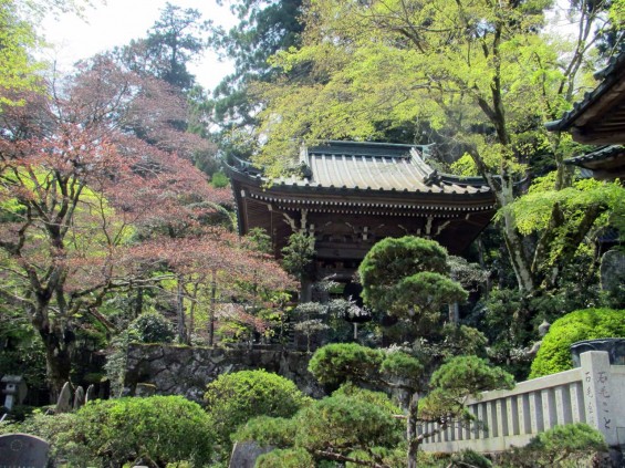 IMG_7268 大雄山最乗寺 境内 鐘楼