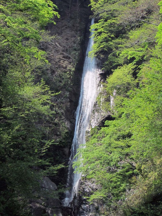 IMG_7310 名水百選洒水の滝