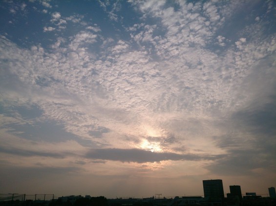 七月なのに秋の空？鱗雲、鰯雲、巻積雲 1406644824018