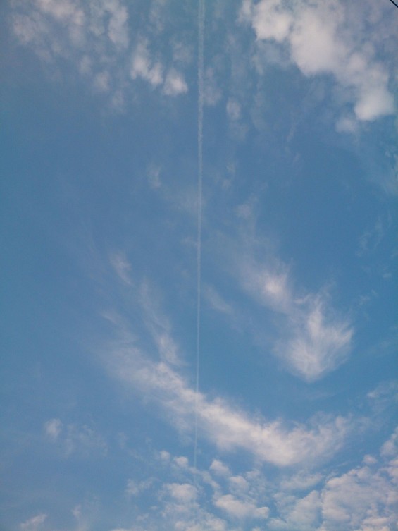 七月なのに秋の空？鱗雲、鰯雲、巻積雲 飛行機雲1406644849780