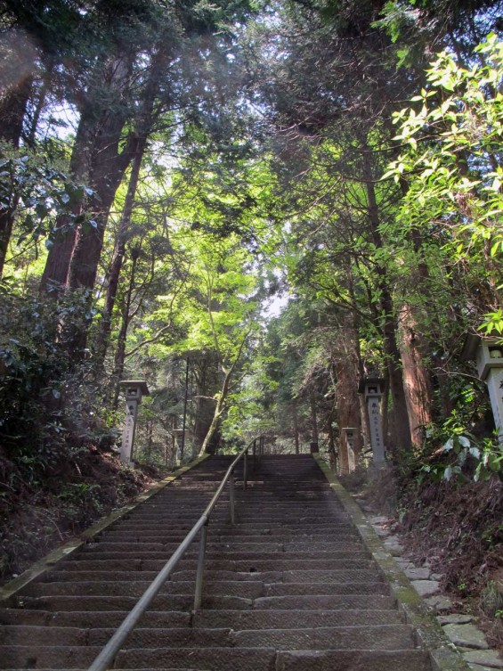 IMG_7281 大雄山最乗寺 境内 奥の院への石段