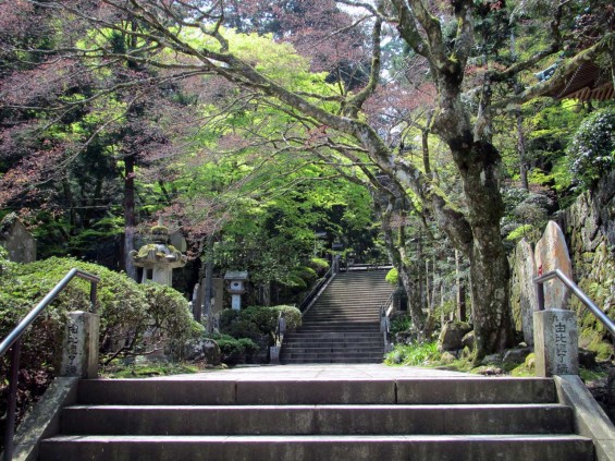 IMG_7269 大雄山最乗寺 境内