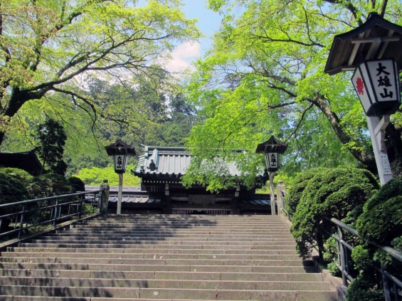 IMG_7256 大雄山最乗寺 参道 石段 石の階段