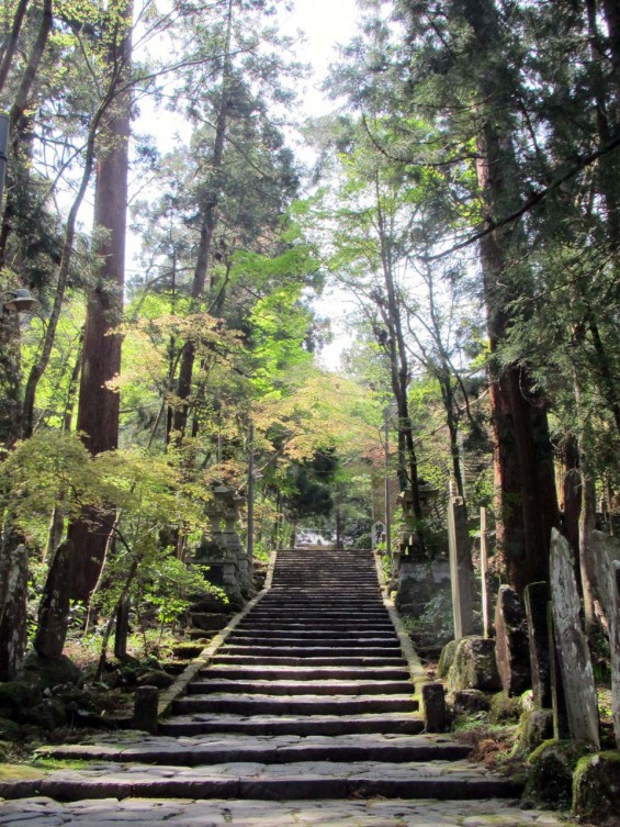 IMG_7255 大雄山最乗寺 参道  天狗の小径 小道石段 石の階段