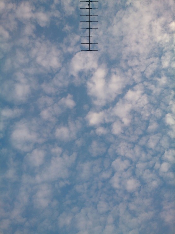 七月なのに秋の空？鱗雲、鰯雲、巻積雲 1406644837671