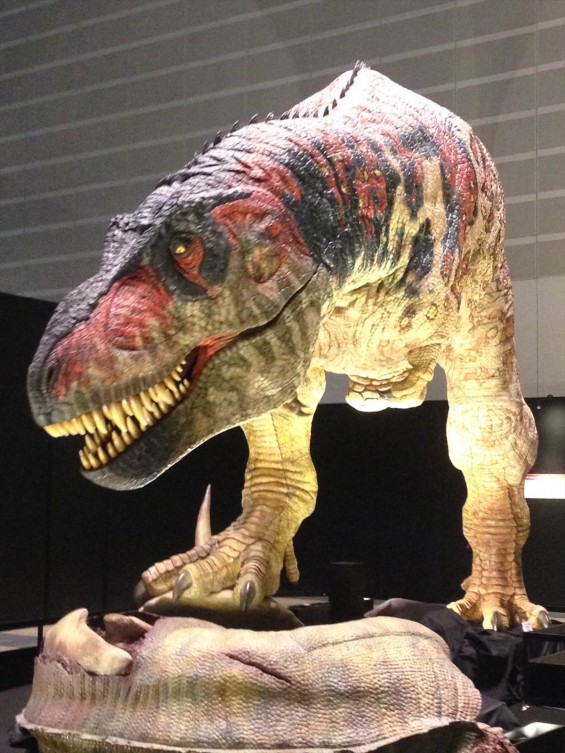ヨコハマ恐竜展2014　行ってきましたphoto 9 ティラノサウルス
