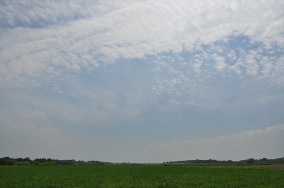 DSC_0156_20140823 本田航空 本田エアポート周辺