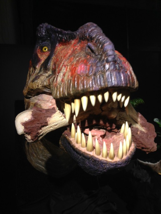 ヨコハマ恐竜展2014　行ってきましたphoto 10 ティラノサウルス