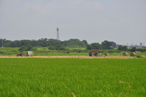 DSC_0074_20140823 本田航空 本田エアポート周辺