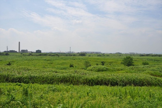 DSC_0071_20140823 本田航空 本田エアポート周辺