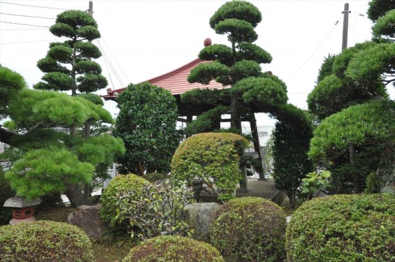 20140814　埼玉県久喜市　東明寺の施餓鬼DSC_0068