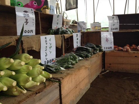 VEGEBOY③無人の野菜直売所「ＶＥＧＥＢＯＹ（ベジボーイ）」