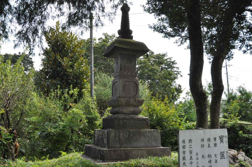 20140821 埼玉県蓮田市 星久院様のご紹介DSC_0056