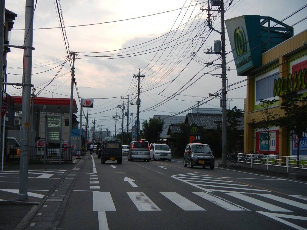 埼玉県さいたま市　岩槻城に行ってきました 本丸_DSCN5385