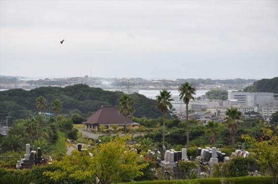 20140905 神奈川県横須賀市 南葉山霊園DSC_0037