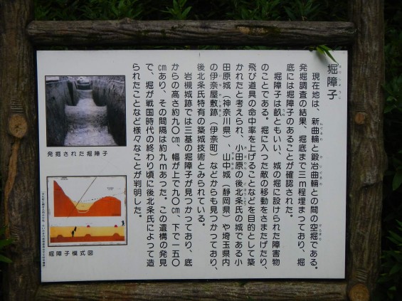 埼玉県さいたま市　岩槻城に行ってきました_DSCN5318