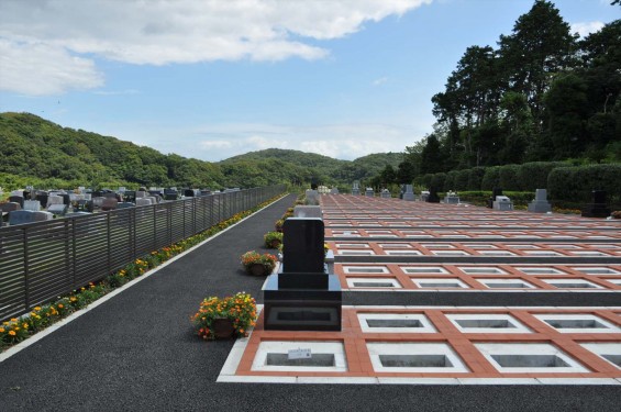 20140905 神奈川県横須賀市 南葉山霊園DSC_0052