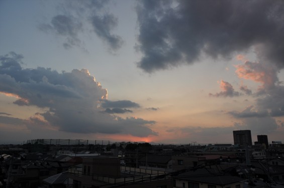 20140913 2014年9月13日の埼玉県上尾市から見えた日没後のムクドリDSC_0114