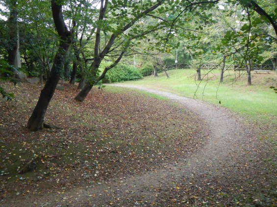 埼玉県さいたま市　岩槻城に行ってきました_DSCN5324