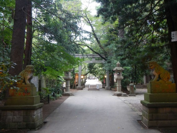 201409 さいたま市岩槻区 久伊豆神社DSCN5387 参道