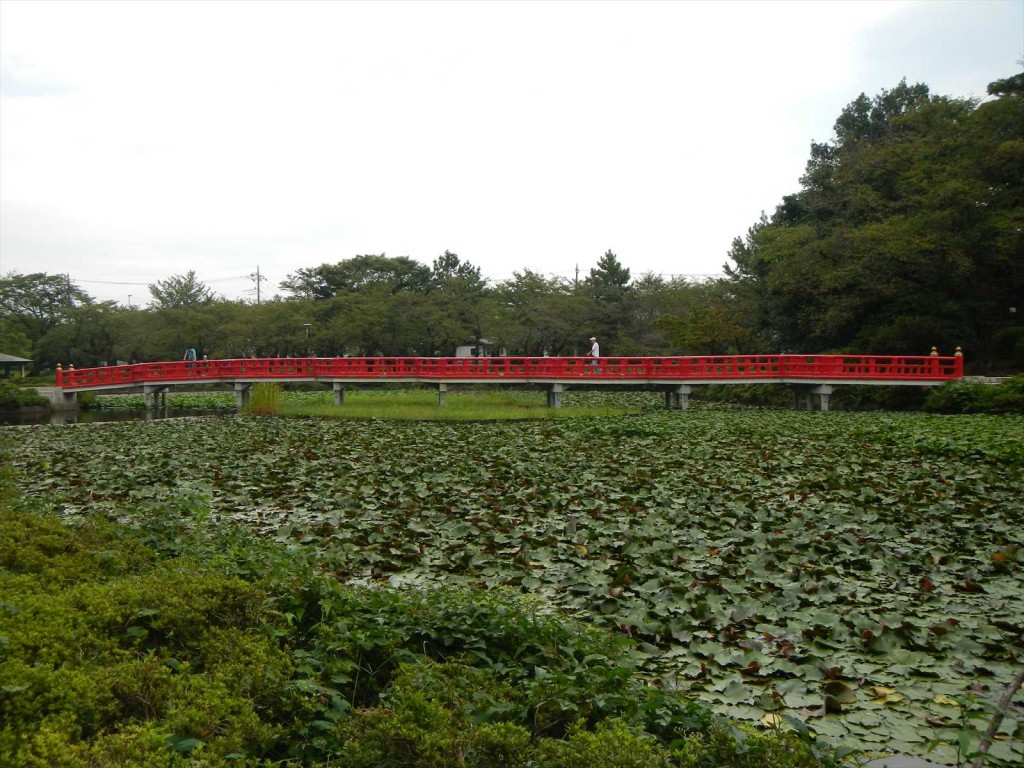 埼玉県さいたま市　岩槻城に行ってきました_DSCN5364