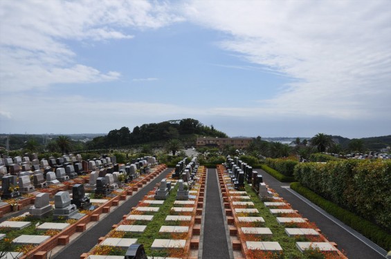 20140905 神奈川県横須賀市 南葉山霊園DSC_0062