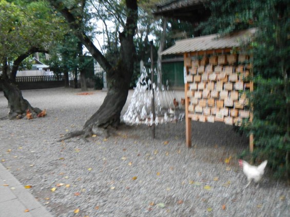 201409 さいたま市岩槻区 久伊豆神社DSCN5390