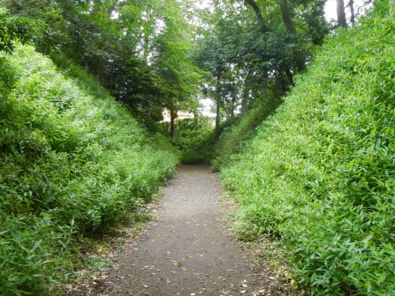 埼玉県さいたま市　岩槻城に行ってきました_DSCN5322