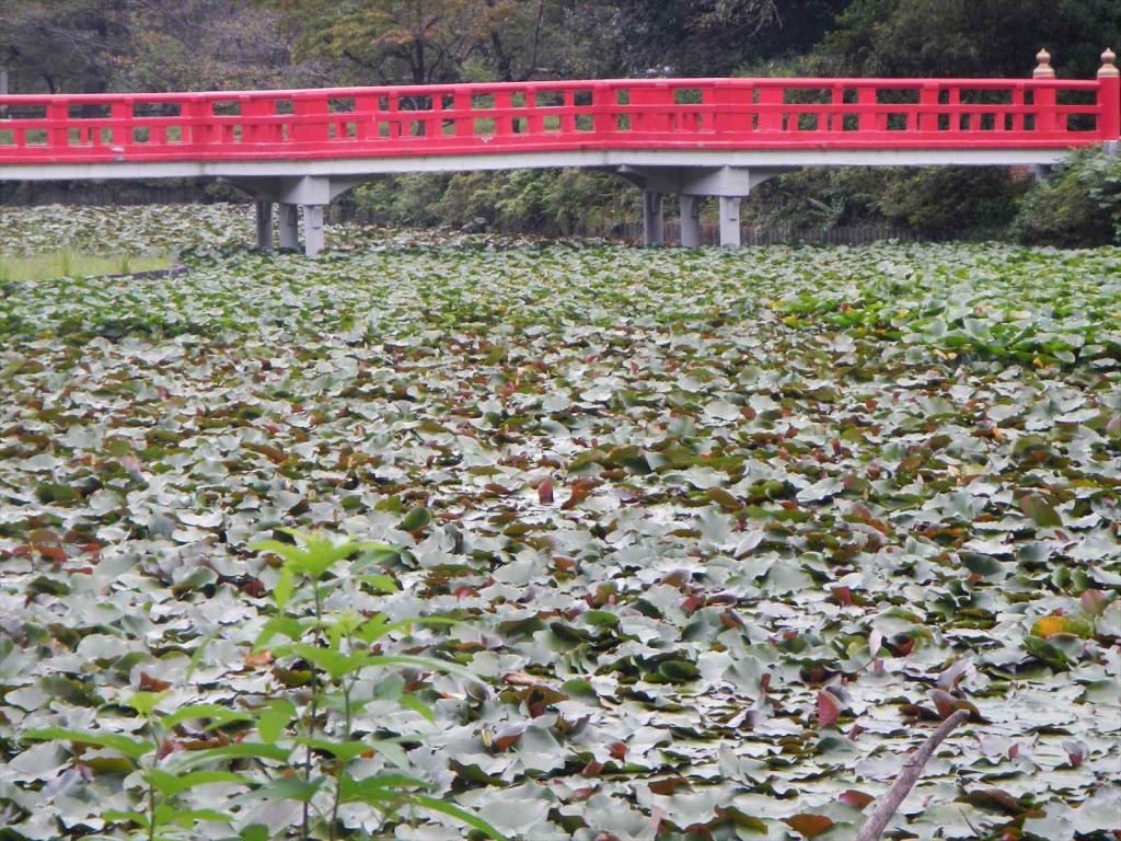 埼玉県さいたま市　岩槻城に行ってきました_DSCN5365