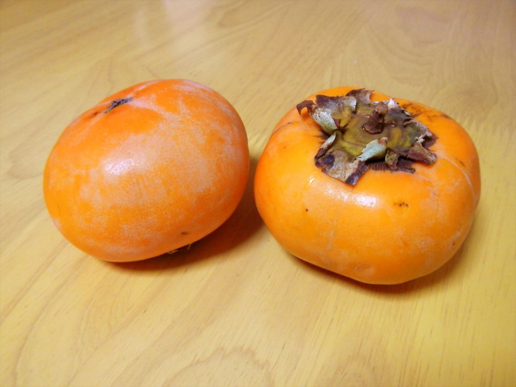 20141024 秋の味覚　柿の実をいただきましたDSCN5780_