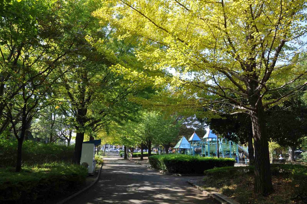 20141025 上尾市の平塚公園の紅葉DSC_0227_