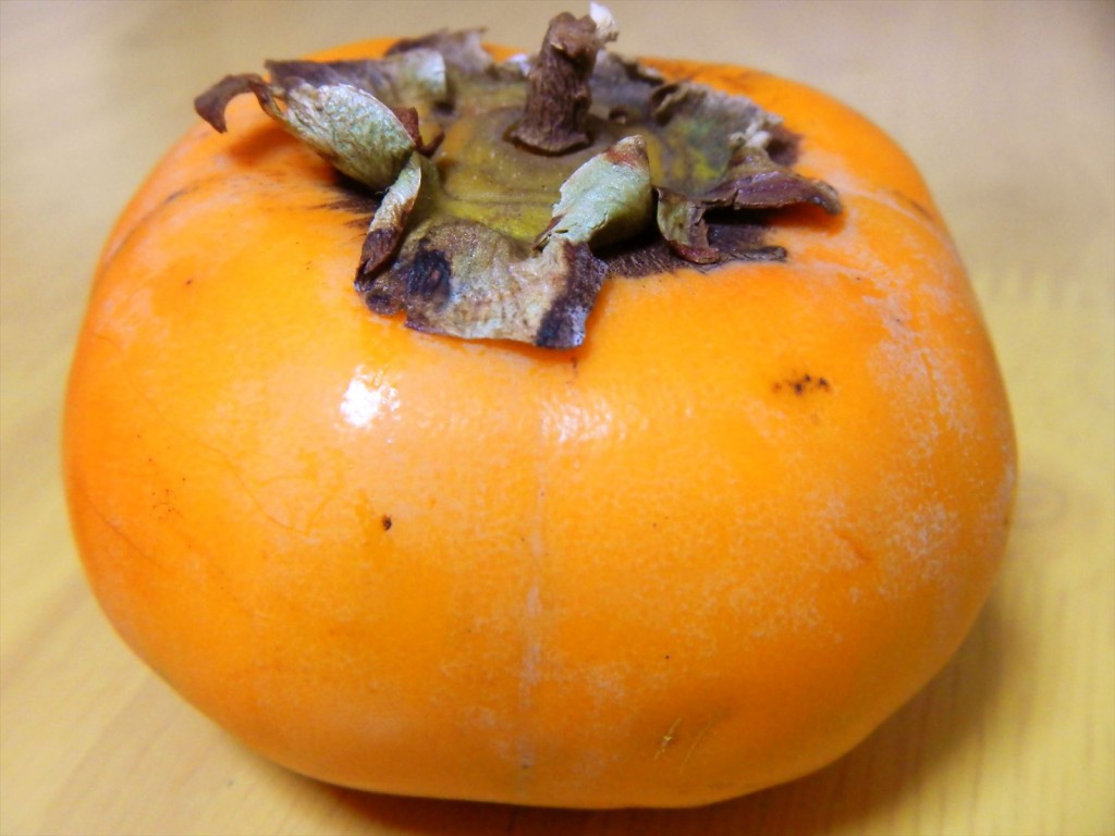 20141024 秋の味覚　柿の実をいただきましたDSCN5783_